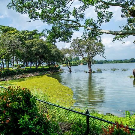 Hotel Sudu Araliya Polonnaruwa Dış mekan fotoğraf