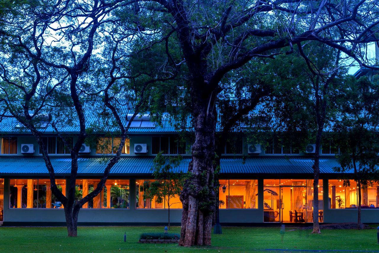 Hotel Sudu Araliya Polonnaruwa Dış mekan fotoğraf
